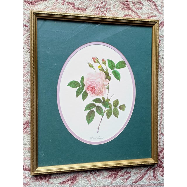 Vintage Botanical Floral Rose Lithograph Framed For Sale - Image 4 of 10