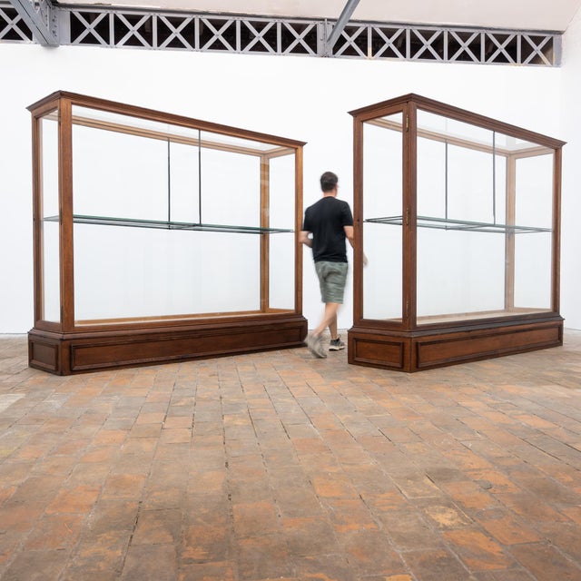 Wood Antique Oak Museum Display Cases, 1900 For Sale - Image 7 of 13