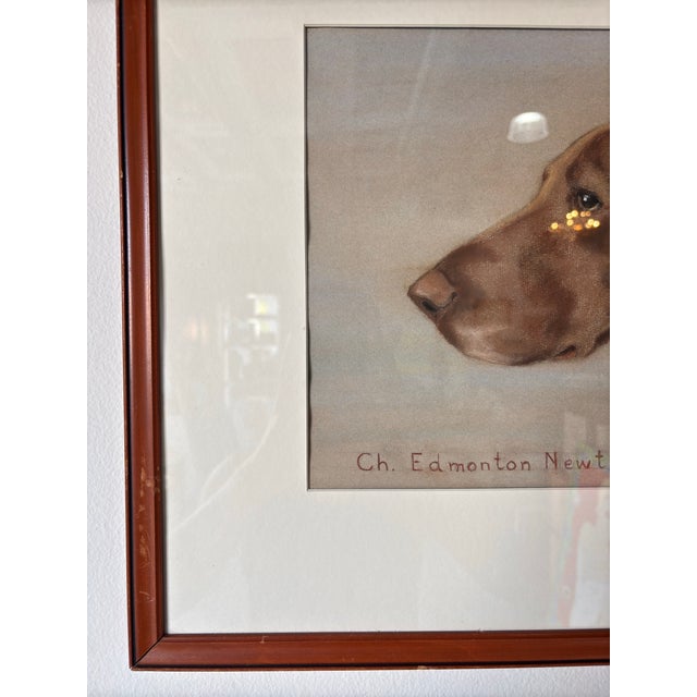 Brown 70's Vintage F. Worden "Ch. Edmonton Newt" Dog Portrait Painting, Framed For Sale - Image 8 of 12