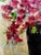 Post Impressionist Helen Botway Bougainvillea in a Dark Urn Oil on Board Painting, Signed 1960's 1960's For Sale - Image 3 of 11