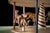 Blue Early 20th Century Hand-Crank Mechanical Carousel Toy For Sale - Image 8 of 9