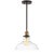 Add charm and to any kitchen or dining room with this contemporary pendant light. Designed to offer function and beauty,...