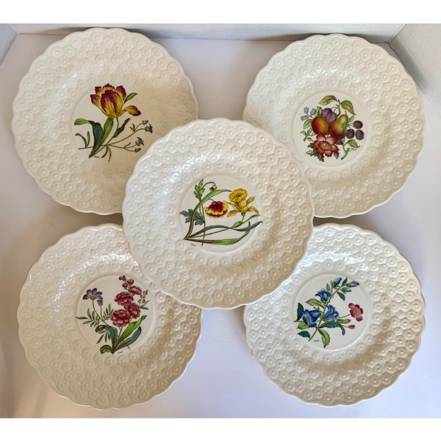 Ivory Vintage Spode Copeland England Botanical Luncheon Plates — Set of 10 For Sale - Image 8 of 16