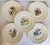 Ivory Vintage Spode Copeland England Botanical Luncheon Plates — Set of 10 For Sale - Image 8 of 16