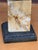 Bronze Pair of Early 19th Century French Bronze Tazzas on Siena Marble Bases For Sale - Image 8 of 8