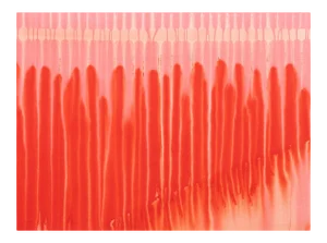 Contemporary Abstract Ink on Paper Painting "Rouge" by Martin Reyna