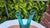 Vintage Double Glass Vase in Murano, 1970s For Sale - Image 4 of 6