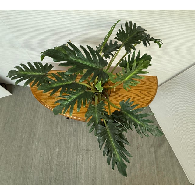 2010s Artificial Philodendron Xanadu Plant + Clear Glass Vase For Sale - Image 5 of 12