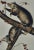 Figurative Audubon Virginian Opossum: An Original Audubon Hand-Colored Lithograph, 1849-1854 For Sale - Image 3 of 5
