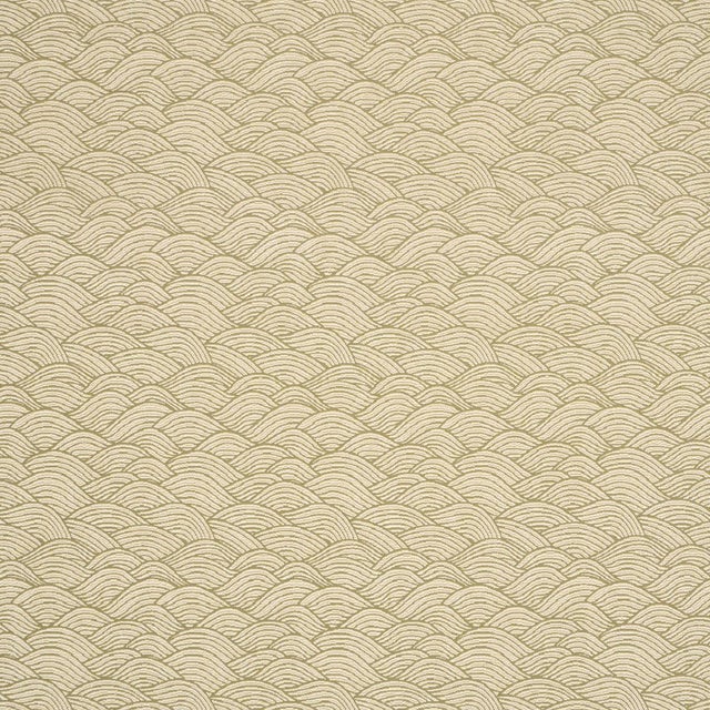 2020s Schumacher Symphony Scallop Fabric In Olive For Sale - Image 5 of 5