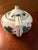 1900 - 1909 1900 Wedgwood Napoleon Ivy Teapot England Green Queen's Ware Bone China - Rare For Sale - Image 5 of 9