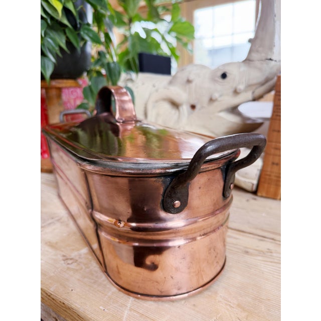 Antique Duparquet Copper Fish Poacher Stamped “Js Newport” For Sale - Image 4 of 12