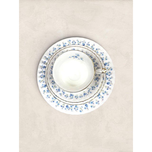English Royal Albert Memory Lane bone china set has a way of stopping people mid-step, and it is not hard to see why....