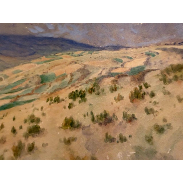 1930s Heinrich Pforr, Juniper in the Gelster Valley, Kaufunger Forest, 1938, Watercolor For Sale - Image 5 of 13
