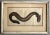Early 19th Century Antique Early 19th Century Fish Art Print of an Electric Eel by Kruger Jun. Del Circa 1800 For Sale - Image 5 of 6