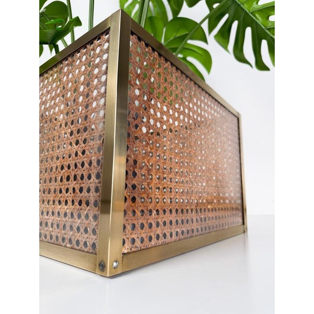 Acrylic Glass, Cane and Brass Cachepot Planter in the style of Dior Home, 1970s For Sale - Image 15 of 16