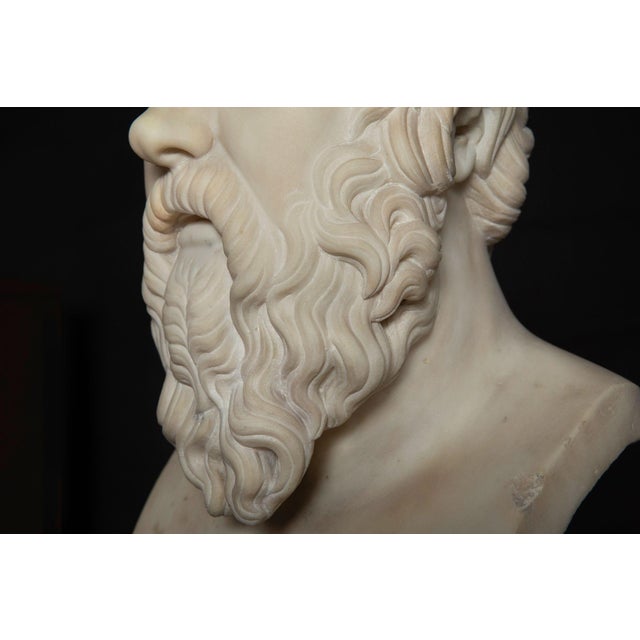 19th Century Antique Italian Grand Tour Marble Bust of Socrates Ca. 1860-80 For Sale - Image 12 of 17