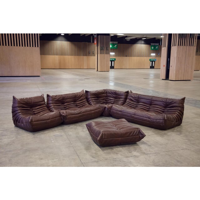 Chocolate Brown Leather Togo Sofa, 1970s, Set of 5 For Sale - Image 3 of 12