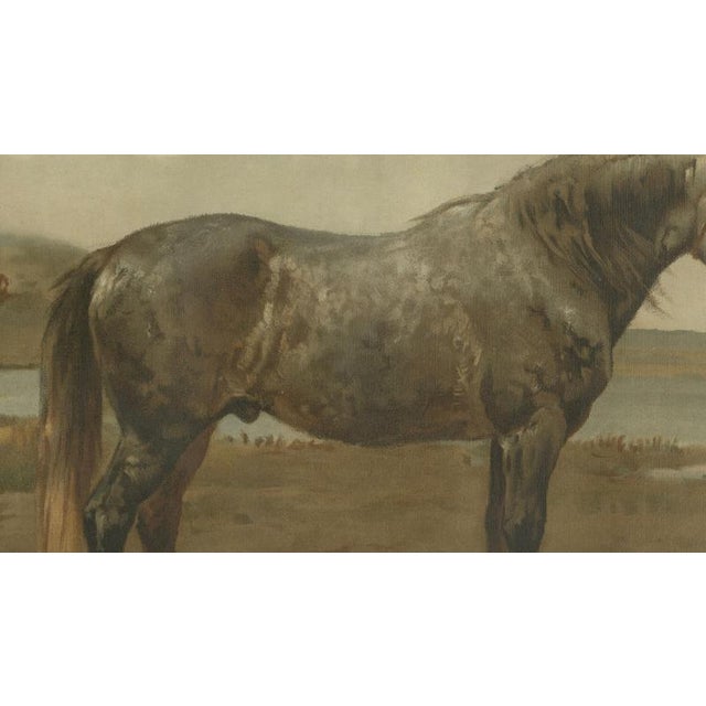 After Otto Eerelman, Russian Draft Horse, 1898, Lithograph on Paper For Sale - Image 5 of 9