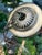 Mid 20th Century French Louis XVI Style 6-Light Mixed-Metal Chandelier - Newly Rewired For Sale - Image 9 of 12