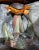 Sea Turtle Murano Glass Sculpture by Adriano Dalla Valentina For Sale - Image 11 of 13