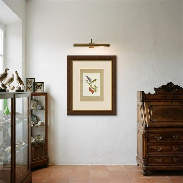 Descourtilz, Tanagers and Cotingas, Brazilian Bird Print, 1944, Paper For Sale - Image 11 of 12