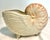 A beautifully sculptural Fitz & Floyd ceramic nautilus shell planter, showcasing the organic form and refined coastal...