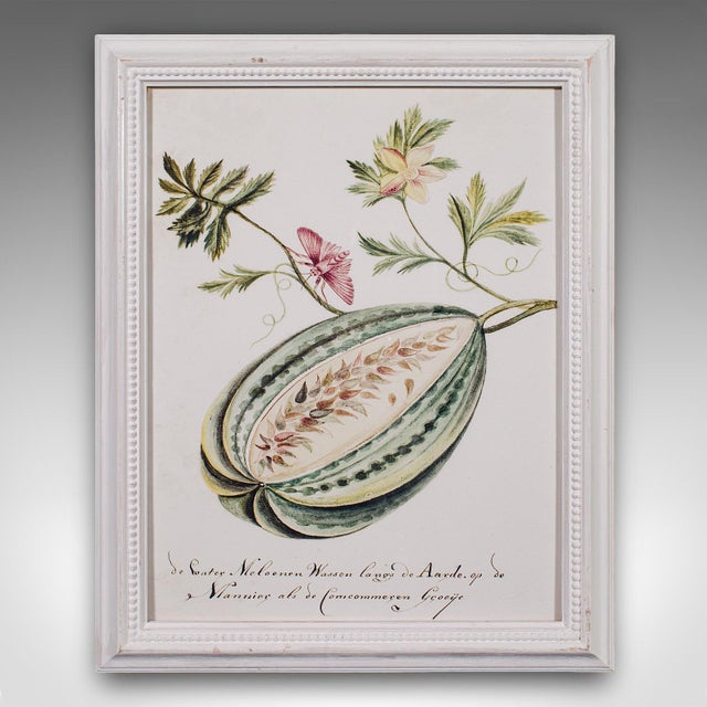 4 Vintage Botanical Pictures, Framed Print, Plant Illustrations, Natural Art For Sale - Image 6 of 12