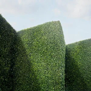 "Serrated" Contemporary Landscape Photograph by Carol Erb