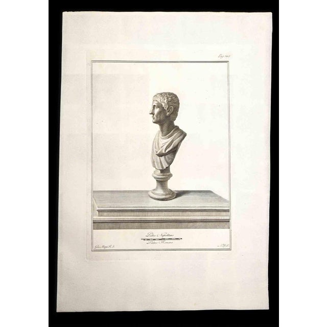Ancient Roman Bust, from the series "Antiquities of Herculaneum", is an original etching on paper realized by Carlo Nolli...