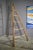 Fir & Beech Wood Ladder For Sale - Image 4 of 14