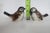 Goebel W Germany Cv73 and Cv74 Pair of 2 Porcelain Sparrow Bird Figurines 4899b For Sale - Image 13 of 18