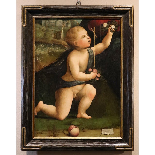 Marco palmezzano (forlì, c. 1459 – forlì, 1539) and workshop saint john the baptist as a child oil on panel 65 x 48 cm /...