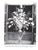 1950s "Winter & Spring Flowers Arranged by Constance Spry" 1953 Spry, Constance For Sale - Image 5 of 13
