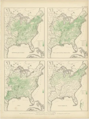 Antique Chart of US Farms and Agriculture and Crops, 1874