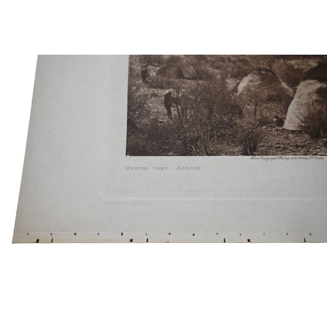 American Edward S. Curtis "Mescal Camp – Apache" Original Vintage Photogravure on Japon Vellum, 1903, Cardozo Collection For Sale - Image 3 of 5