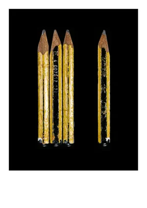 David Shrigley's Pencil by Secret Life of Pencil Print, 15" x 20"