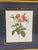 Wood Set of Six Framed Redoutè Rose Botanical Prints For Sale - Image 7 of 7