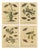 Albin, Moths & Caterpillars Common Rustic, Drab & Tiger Moths, 1720, Prints, Set of 4 For Sale