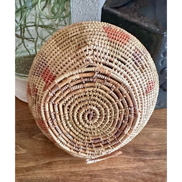 Hand-Woven Native American Horsehair Lidded Basket For Sale - Image 9 of 10