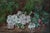 What a beautiful little gem this is! Oil on board under glass, signed C. H. Marcy and dated 1873. Wonderful color and...