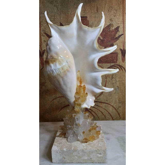 Glass Contemporary One of a Kind Seashell and Crystal Quartz Citrine by Joseph Malekan For Sale - Image 7 of 13