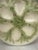 French French Majolica Oyster Plate Choisy-Le-Roi, Circa 1880 For Sale - Image 3 of 5