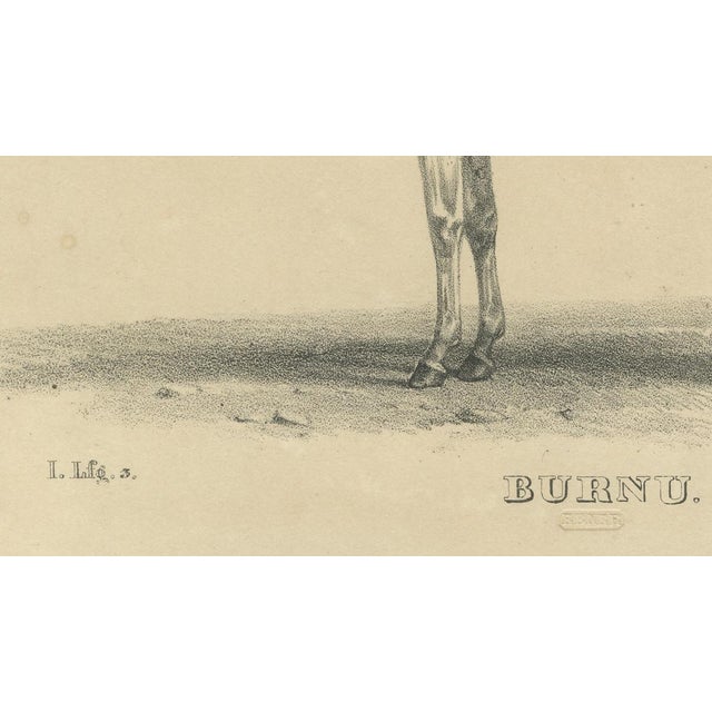 August Jäger, Burnu, 1846, Lithograph For Sale - Image 6 of 9