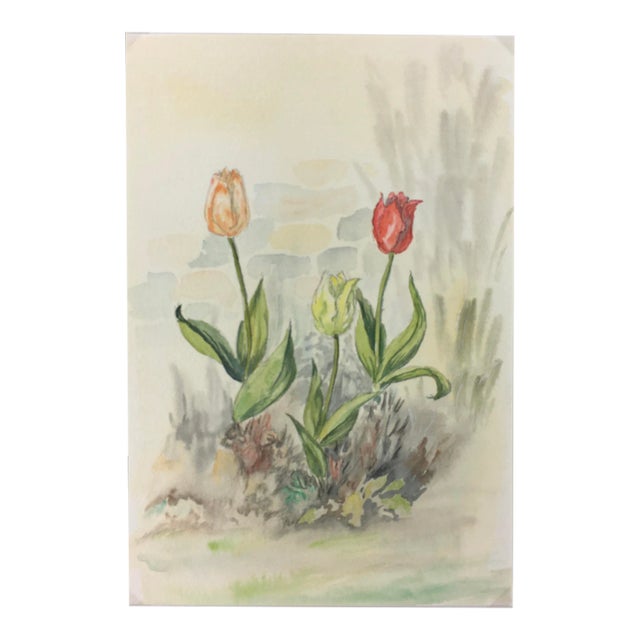 Watercolor Painting - Delicate Tulips For Sale