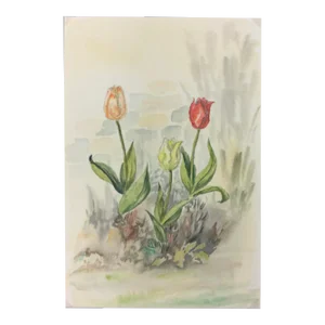 Watercolor Painting - Delicate Tulips