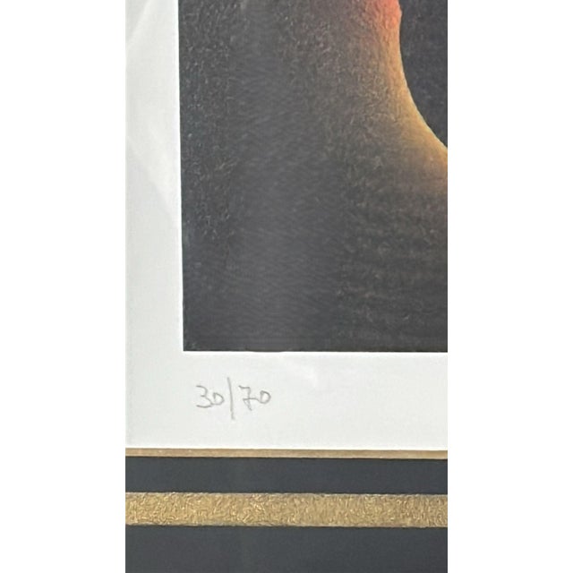 Late 20th Century Marco Lodola Screenprint on Paper (No. 30/70) With Mirrored Frame For Sale - Image 12 of 17