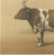 19th Century Borie, Breton Ox, French Cattle Breed, 1863, Paper For Sale - Image 5 of 9