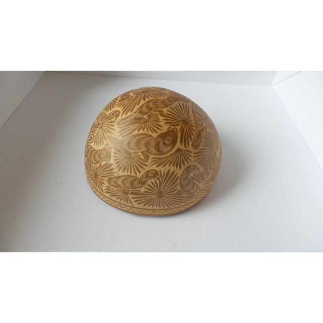 Late 20th Century Mexican Carved Gourd Attributed to Oaxaca For Sale - Image 9 of 14