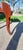 Six Early 20th Century Park Furniture Duncan Phyfe Style Dining Chairs For Sale - Image 12 of 16